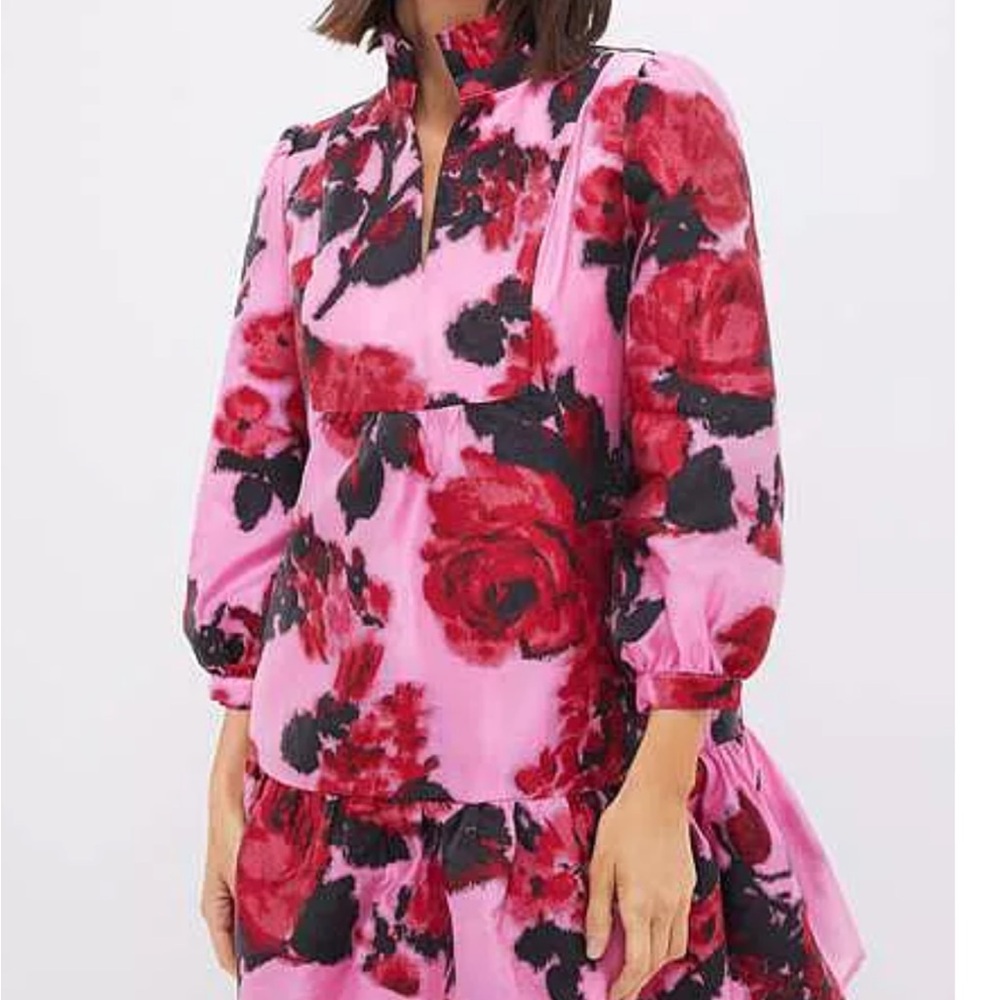 Tuckernuck Palmerston Dress in Bagonia Blossom